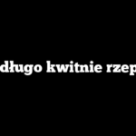 Jak długo kwitnie rzepak?