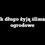 Jak długo żyją ślimaki ogrodowe