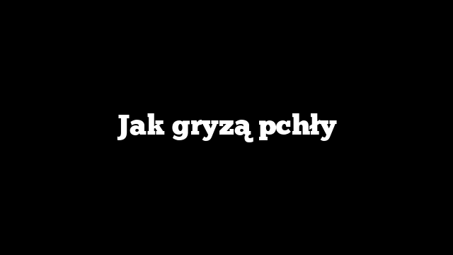 Jak gryzą pchły