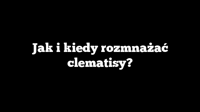 Jak i kiedy rozmnażać clematisy?