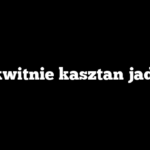 Jak kwitnie kasztan jadalny