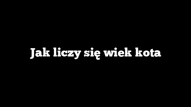 Jak liczy się wiek kota