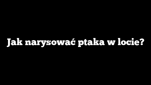 Jak narysować ptaka w locie?