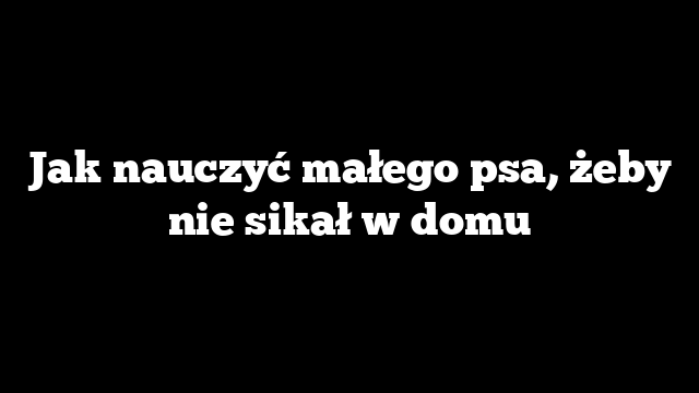 Jak nauczyć małego psa, żeby nie sikał w domu