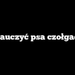 Jak nauczyć psa czołgać się?