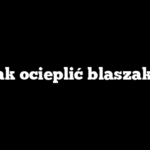 Jak ocieplić blaszaka
