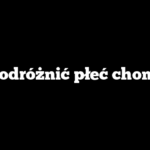 Jak odróżnić płeć chomika