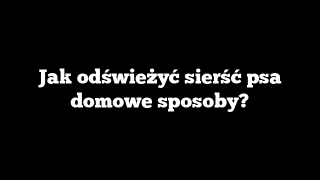 Jak odświeżyć sierść psa domowe sposoby?