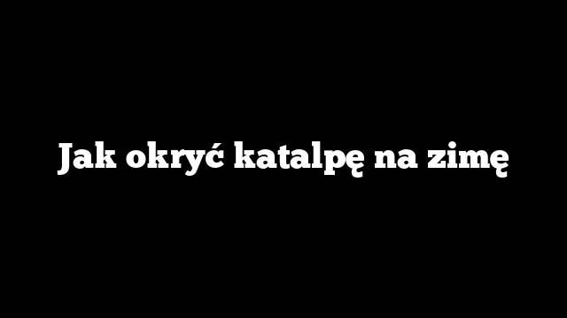 Jak okryć katalpę na zimę