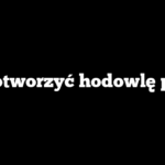 Jak otworzyć hodowlę psów