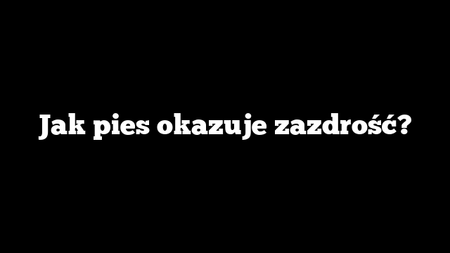 Jak pies okazuje zazdrość?