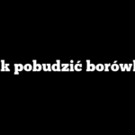 Jak pobudzić borówkę