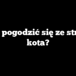 Jak pogodzić się ze stratą kota?