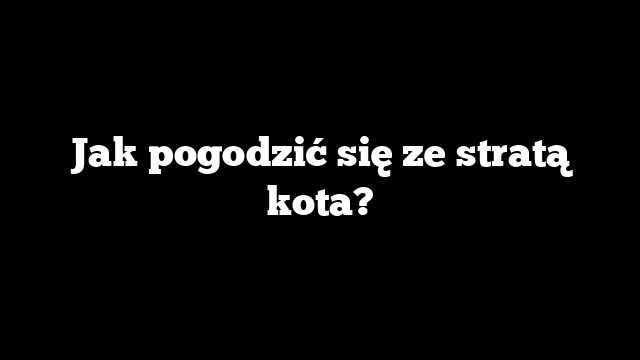 Jak pogodzić się ze stratą kota?