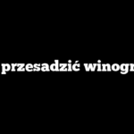 Jak przesadzić winogron?