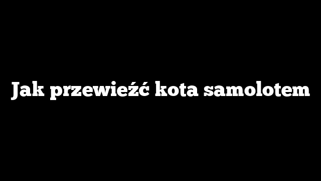 Jak przewieźć kota samolotem