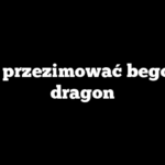 Jak przezimować begonie dragon