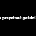 Jak przycinać goździki?