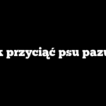 Jak przyciąć psu pazury
