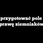 Jak przygotować pole pod uprawę ziemniaków?