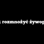 Jak rozmnożyć żywopłot