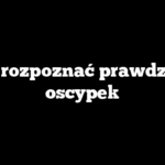 Jak rozpoznać prawdziwy oscypek