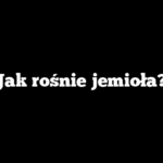 Jak rośnie jemioła?