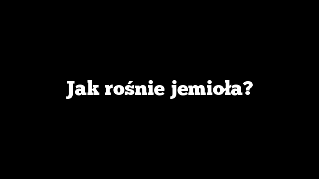 Jak rośnie jemioła?