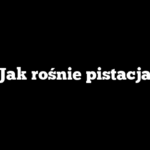Jak rośnie pistacja