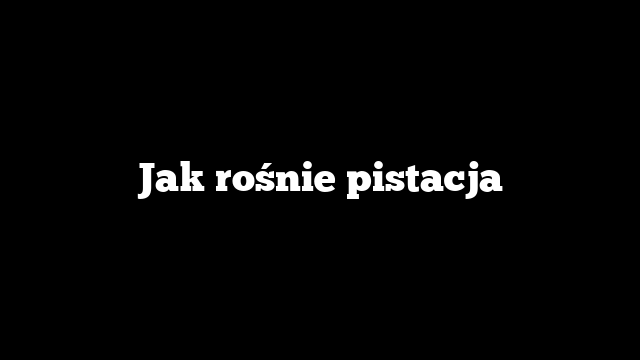 Jak rośnie pistacja