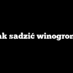 Jak sadzić winogrona