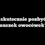Jak skutecznie pozbyć się muszek owocówek?