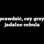 Jak sprawdzić, czy grzyby są jadalne cebula
