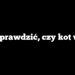 Jak sprawdzić, czy kot widzi