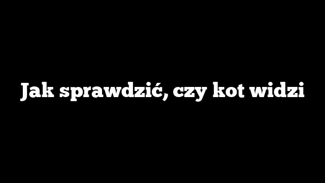Jak sprawdzić, czy kot widzi