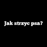 Jak strzyc psa?