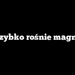 Jak szybko rośnie magnolia?