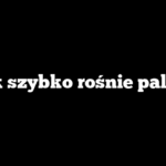 Jak szybko rośnie palma