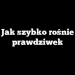 Jak szybko rośnie prawdziwek