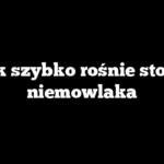 Jak szybko rośnie stopa niemowlaka