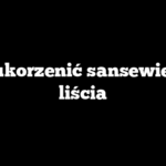 Jak ukorzenić sansewierię z liścia
