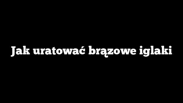 Jak uratować brązowe iglaki