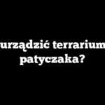 Jak urządzić terrarium dla patyczaka?