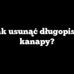 Jak usunąć długopis z kanapy?