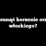 Jak usunąć korzenie orzecha włoskiego?