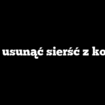 Jak usunąć sierść z koca?