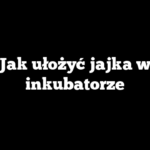Jak ułożyć jajka w inkubatorze