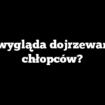Jak wygląda dojrzewanie u chłopców?