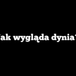 Jak wygląda dynia?