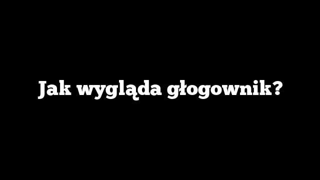 Jak wygląda głogownik?